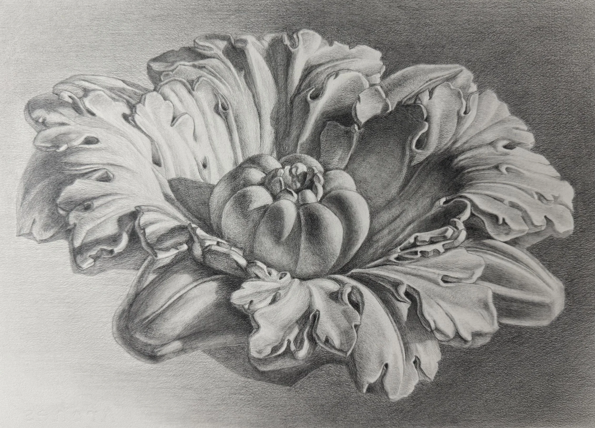 The Robust Flower.jpg