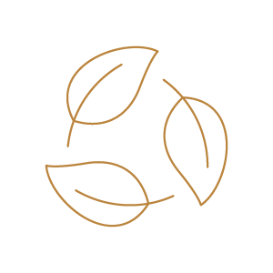 Line drawing of three leaves arranged in a circular pattern on a black background