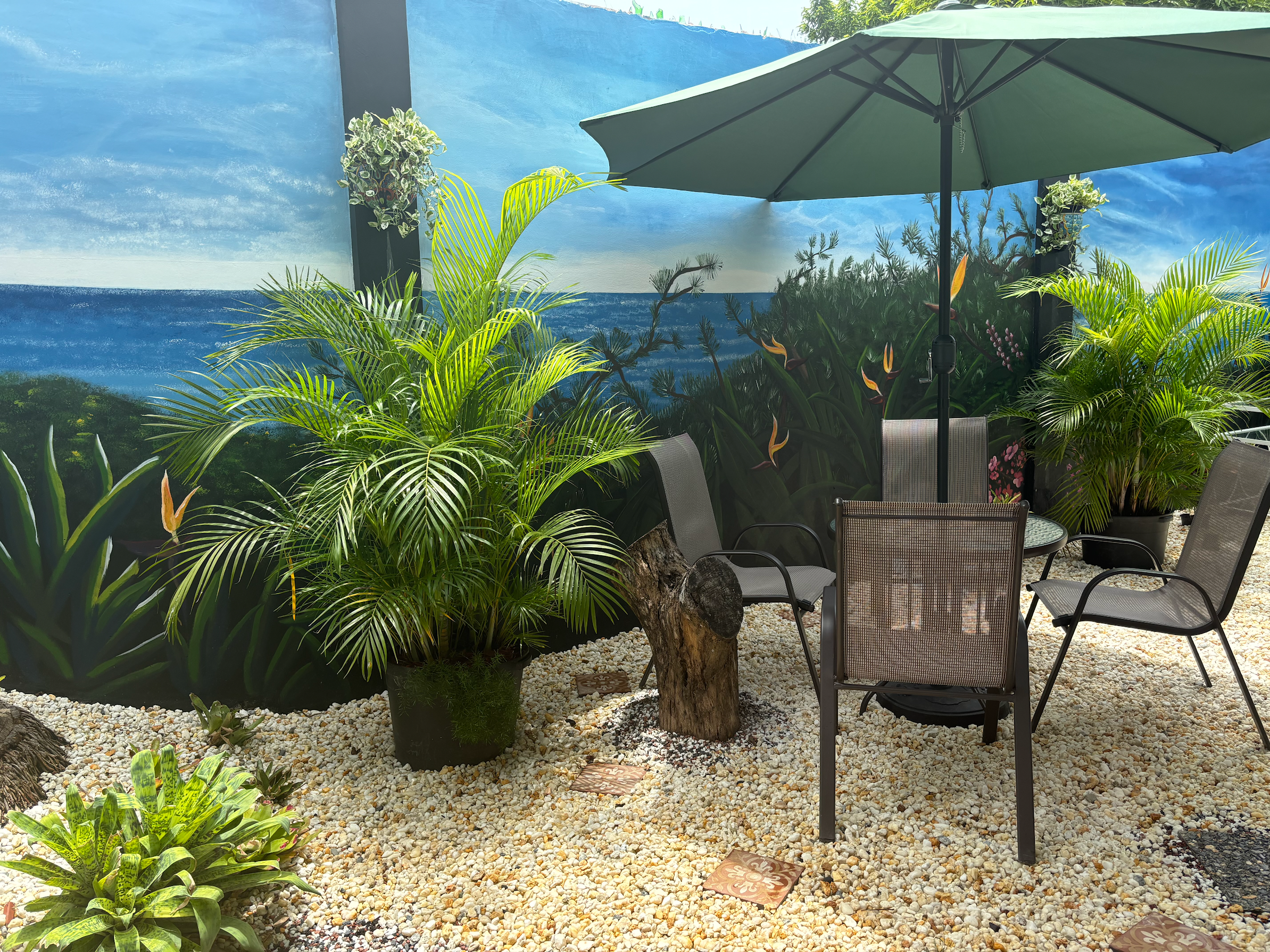 A Vegan Home Away from Home in Trinidad and Tobago: Inside Jan’s Garden Sanctuary