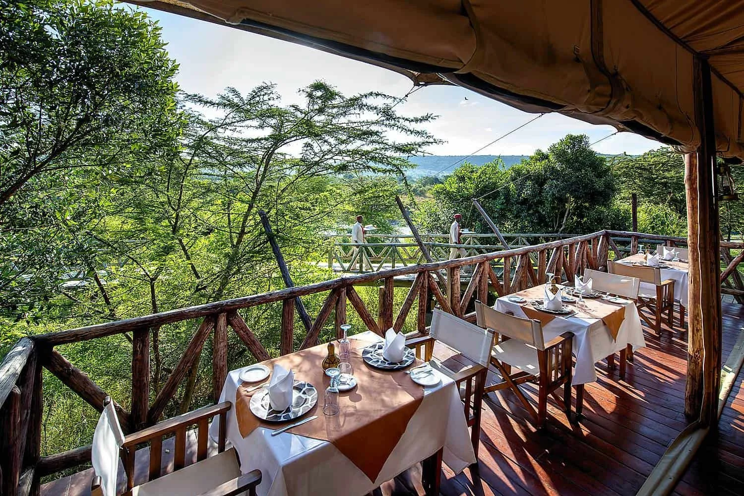 How a Luxury Safari Camp Expanded Its Plant-Based Dining and Achieved Certification in Under One Month