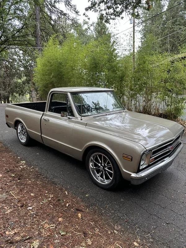 A vintage beige pickup truck parked on a narrow road surrounded by green trees and bushes.