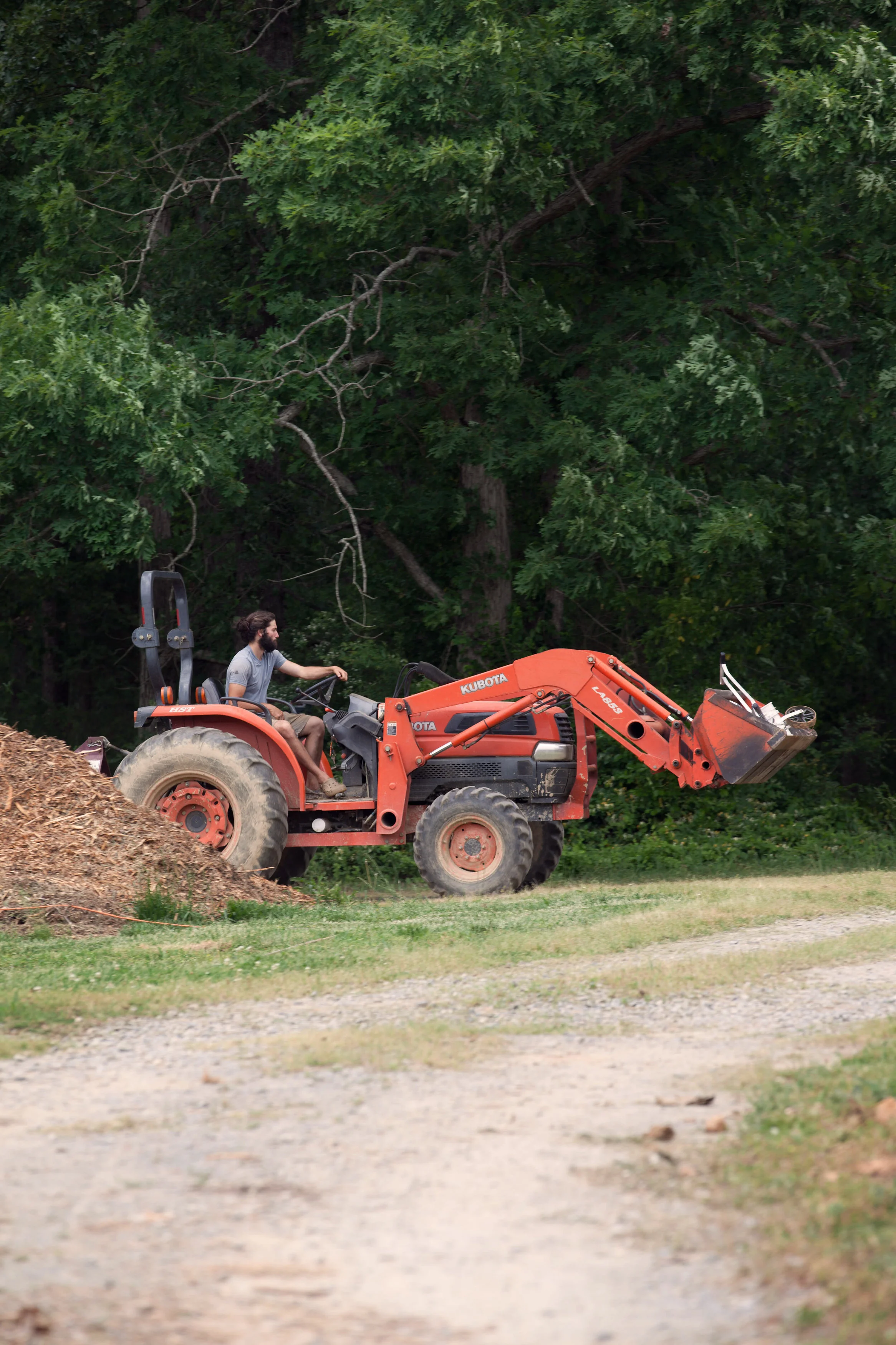 A man riding a Kubota tractor on a grassy area with a pile of wood chips nearby, trees in the background.