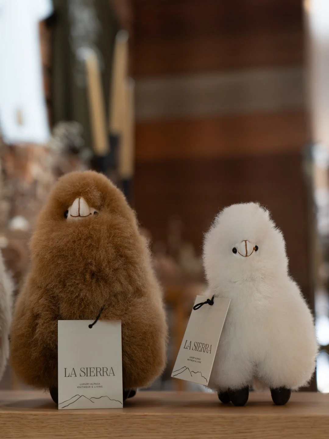 Toy aplacas sitting on table