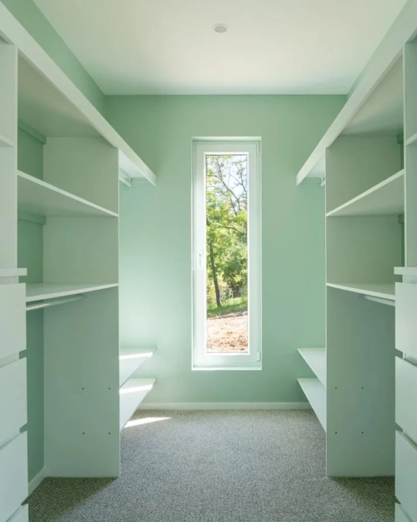 walk in closet with green walls and window
