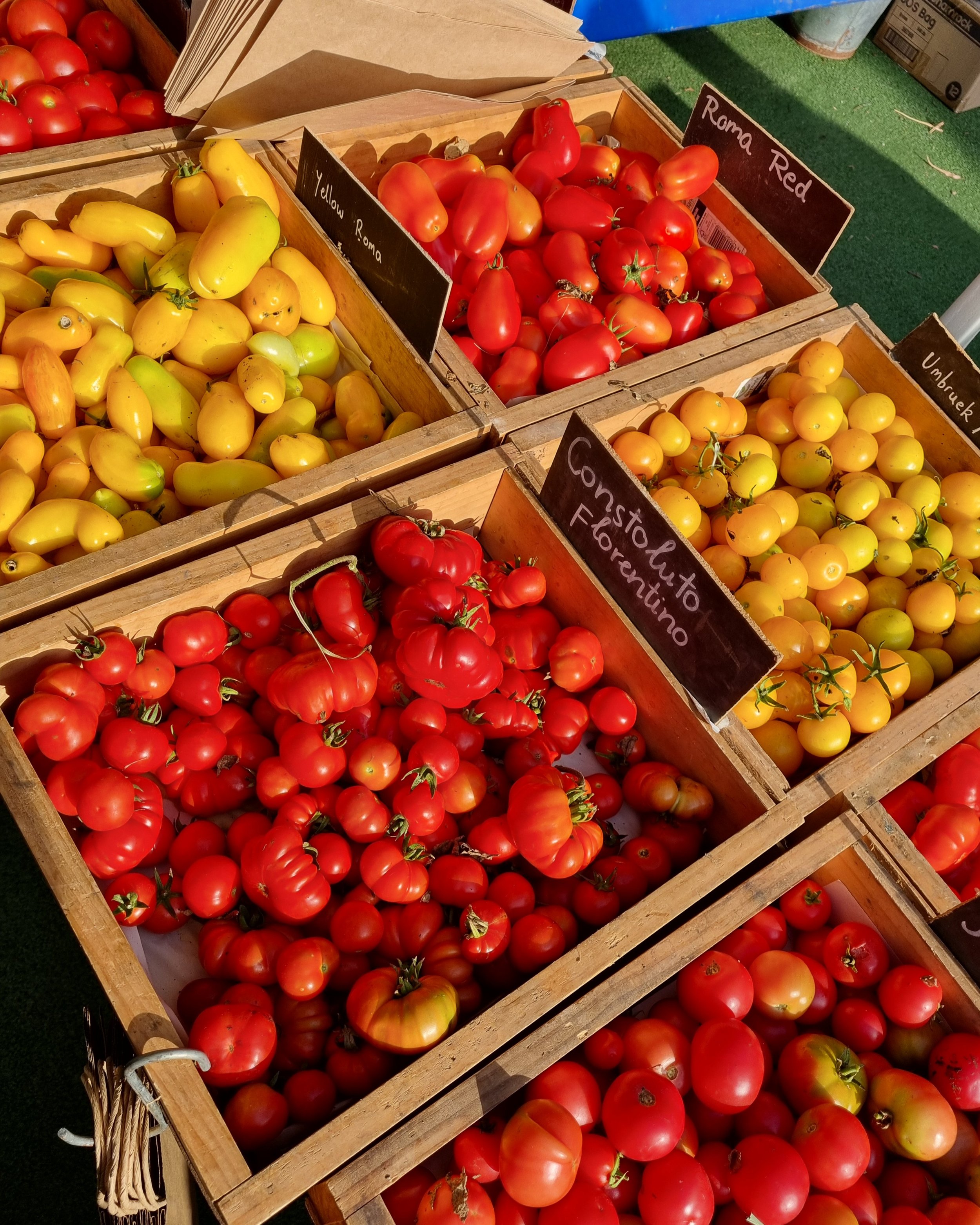 Multiple wooden crates filled with various types of tomatoes, including yellow Roma, Roma Red, Conestouto Fiorentino, and Umbriek, displayed at an outdoor market.