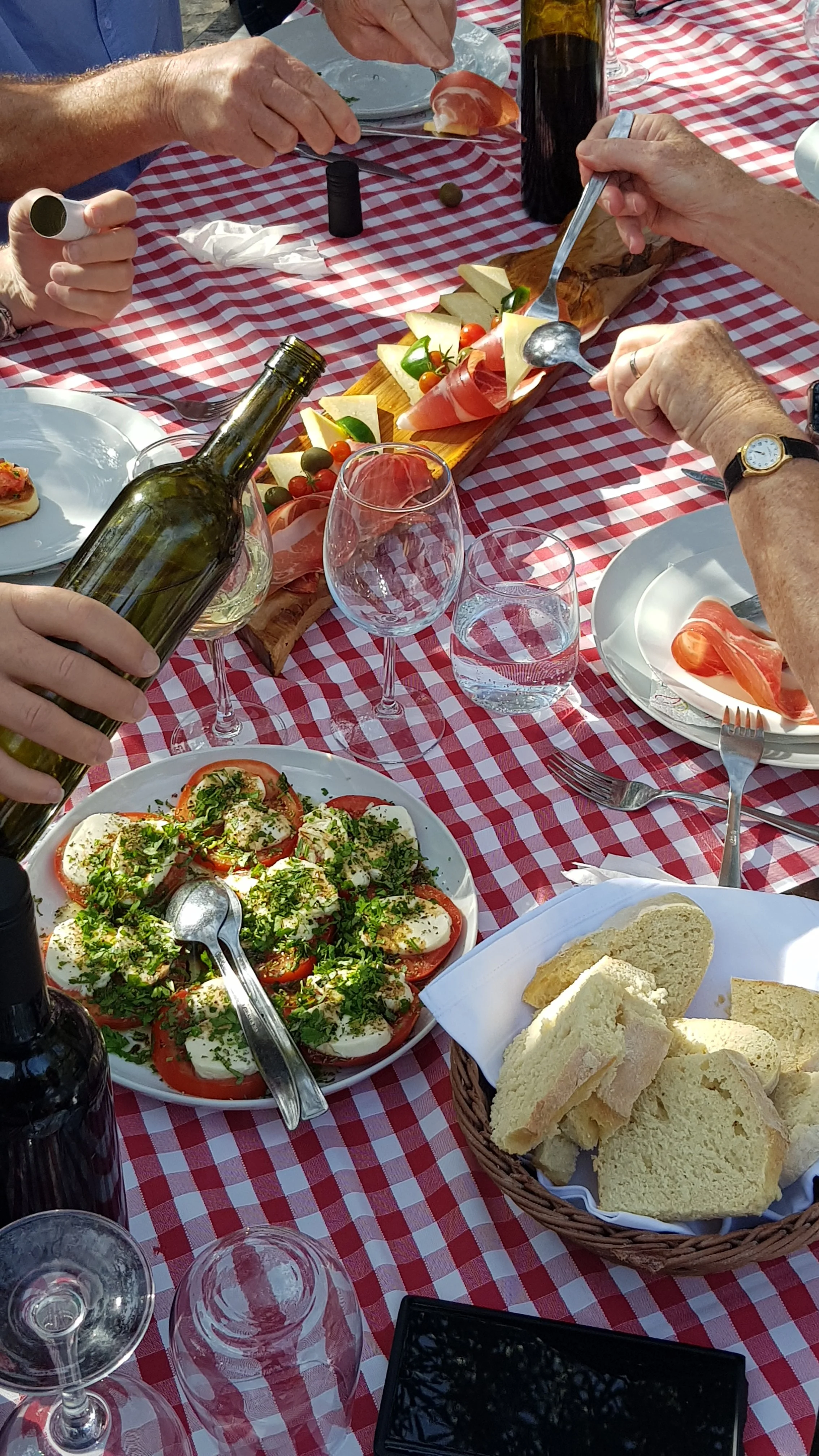 A table set with a red and white checkered tablecloth, featuring a plate of sliced tomatoes and mozzarella cheese topped with herbs, a basket of bread slices, bowls of wine, and a cheese and meat platter with cherry tomatoes, cheese, and professional