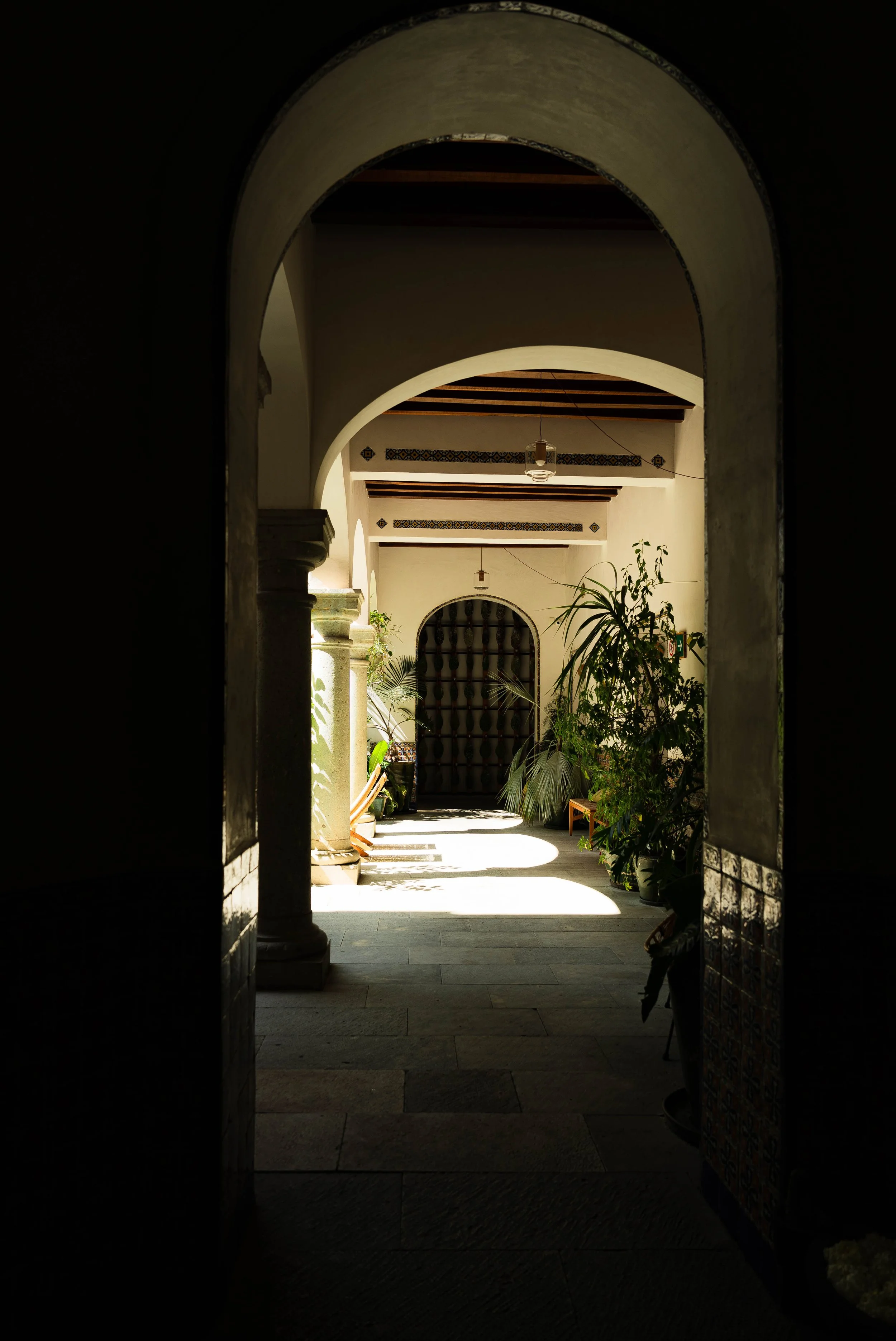 DSC08831.jpg