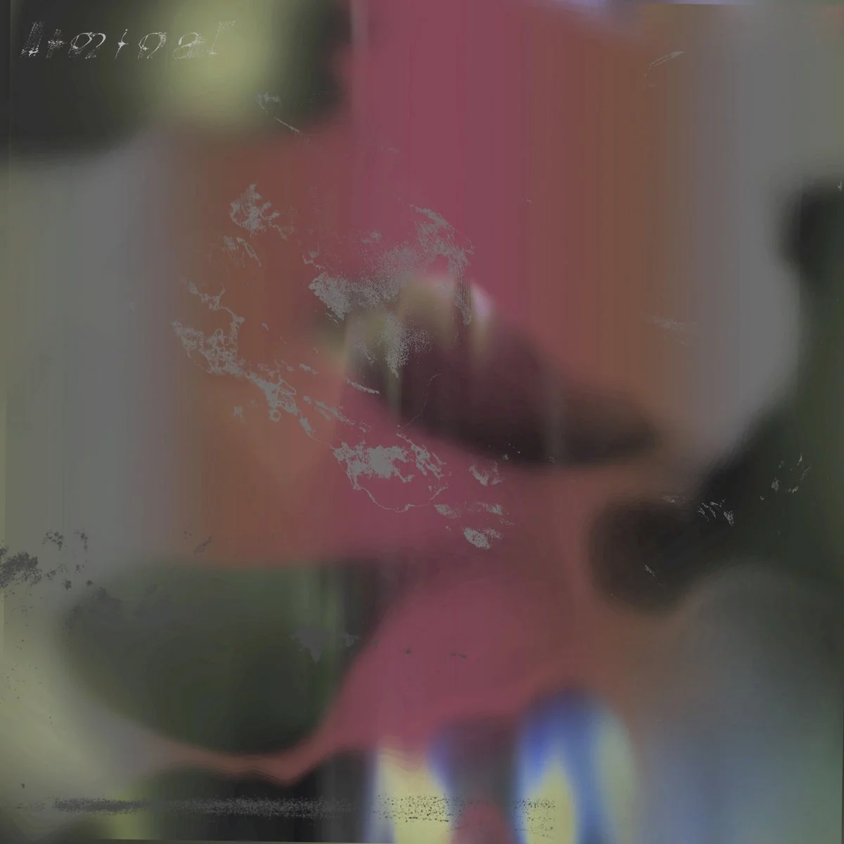 wild at heart — Oscilla LMNL Series, 2025