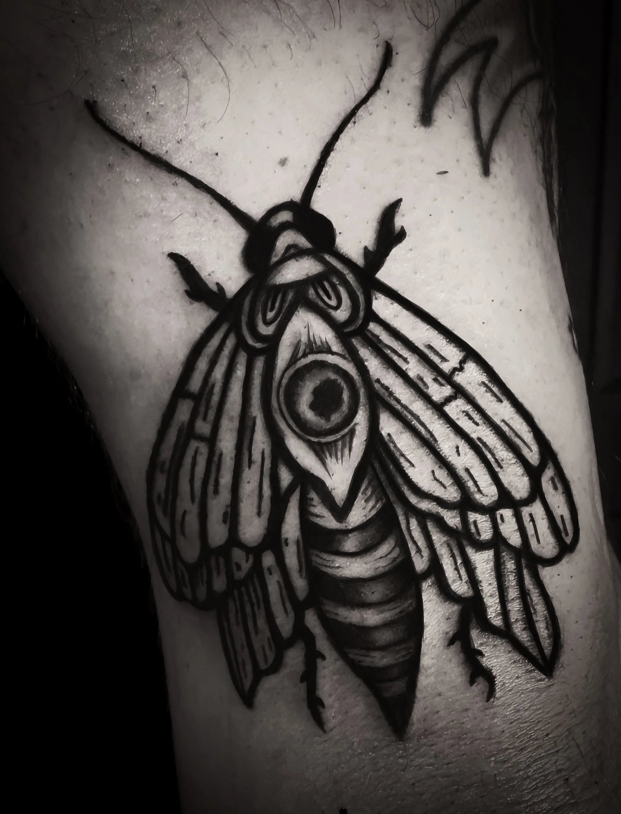 Black and gray tattoo of a moth with a large eye on its abdomen on a person's arm.