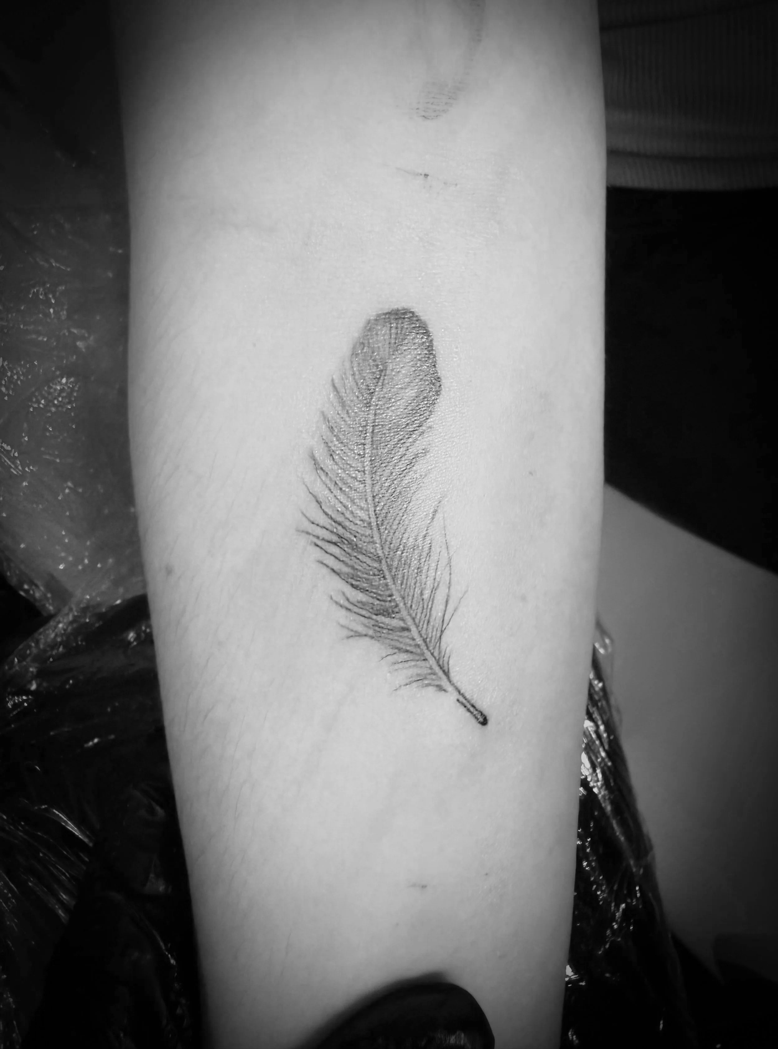 Black and white tattoo of a feather on a person's arm.