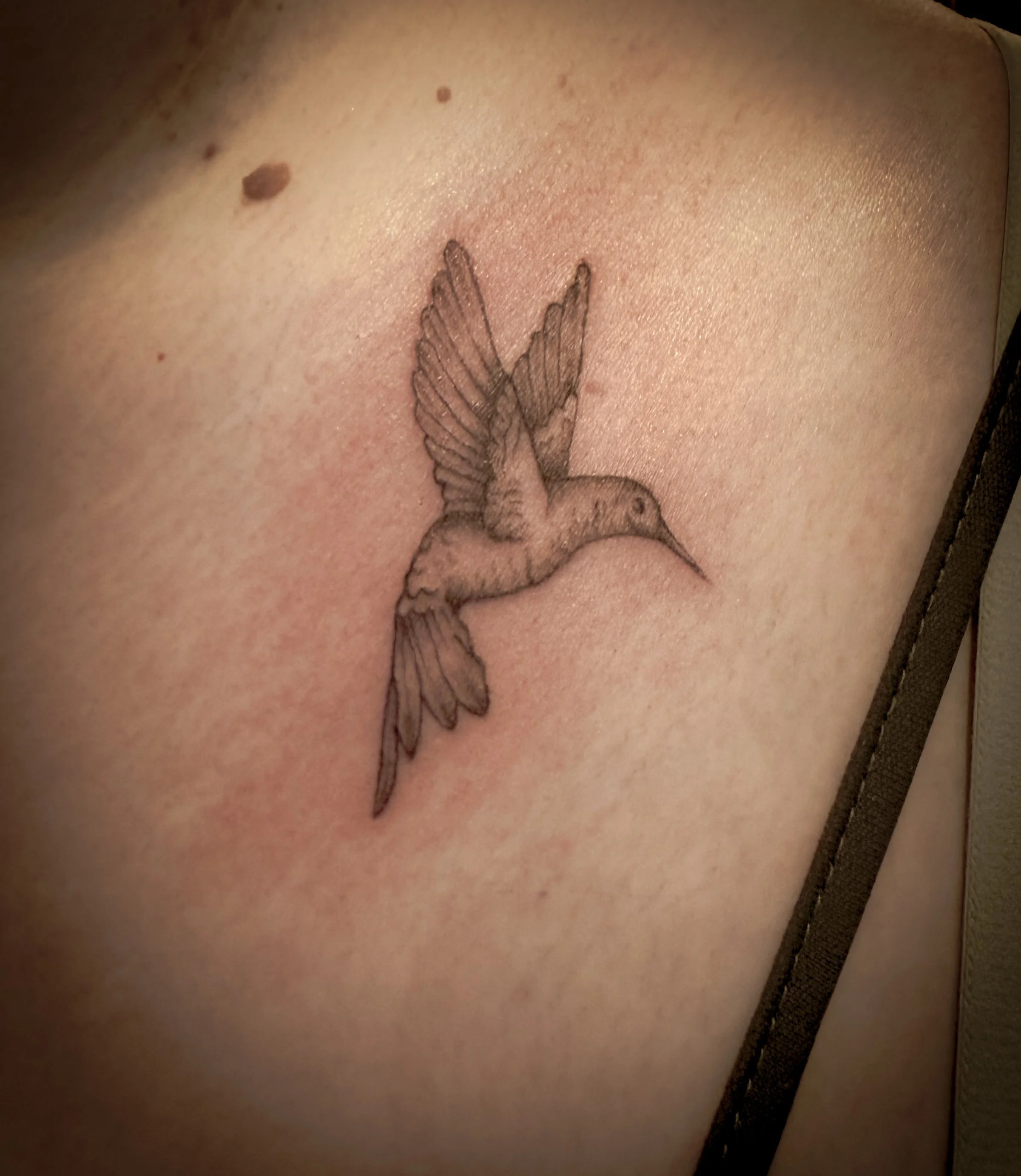 Tattoo of a hummingbird on a person's shoulder.