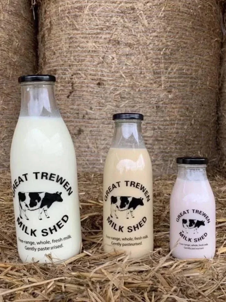 Three bottles of milk with black caps labeled 'Great Trewen Milk Shed' placed on hay, with a large bale in the background.