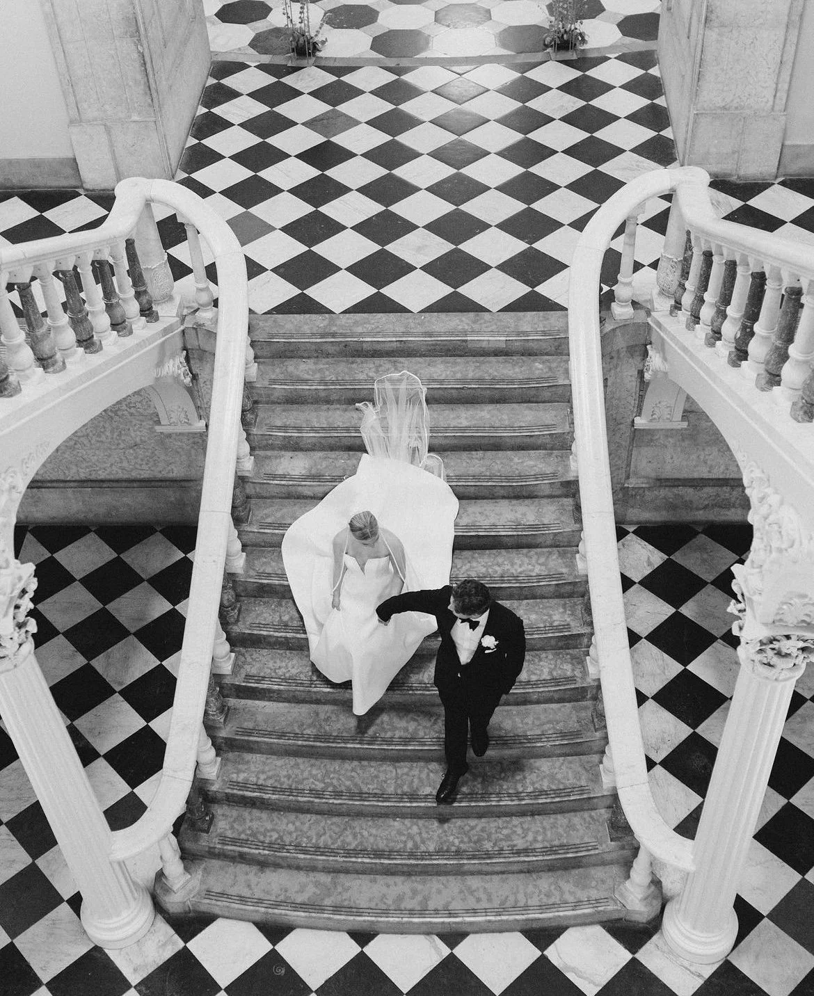 Wildest Dreams Collection