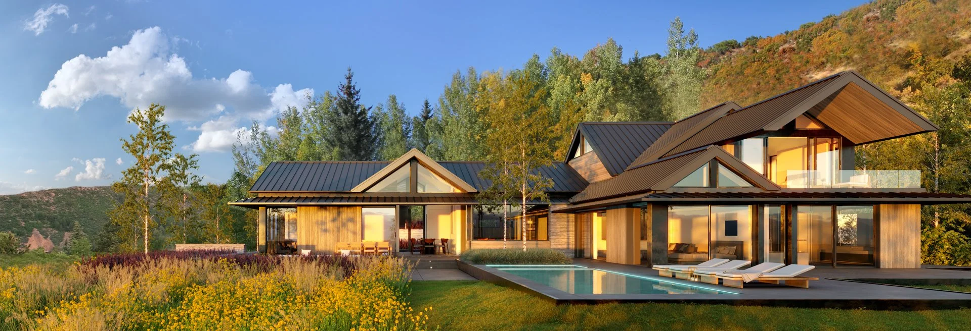 GP 1099 Willoughby Way Aerial Pool.jpg