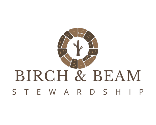 Birch & Beam Stewardship