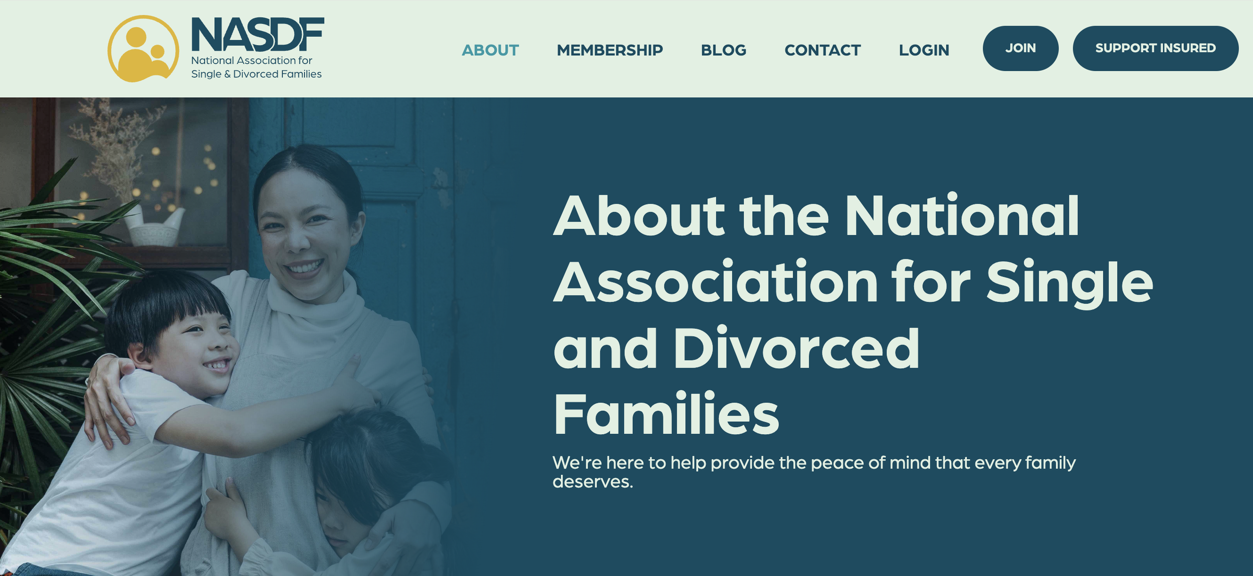 Image of the NASDF Website 