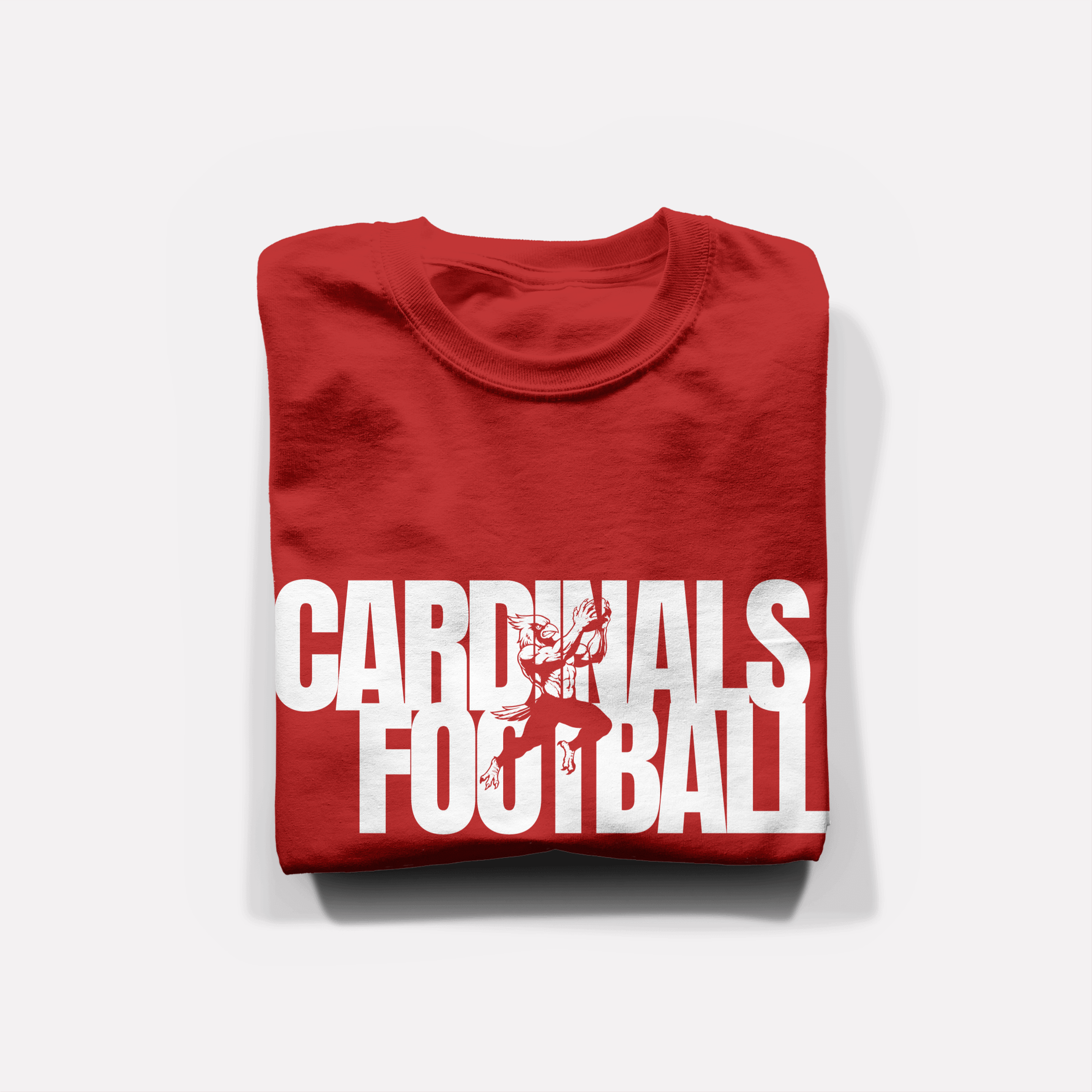 Catching Bird Football Youth and Infant T-Shirt