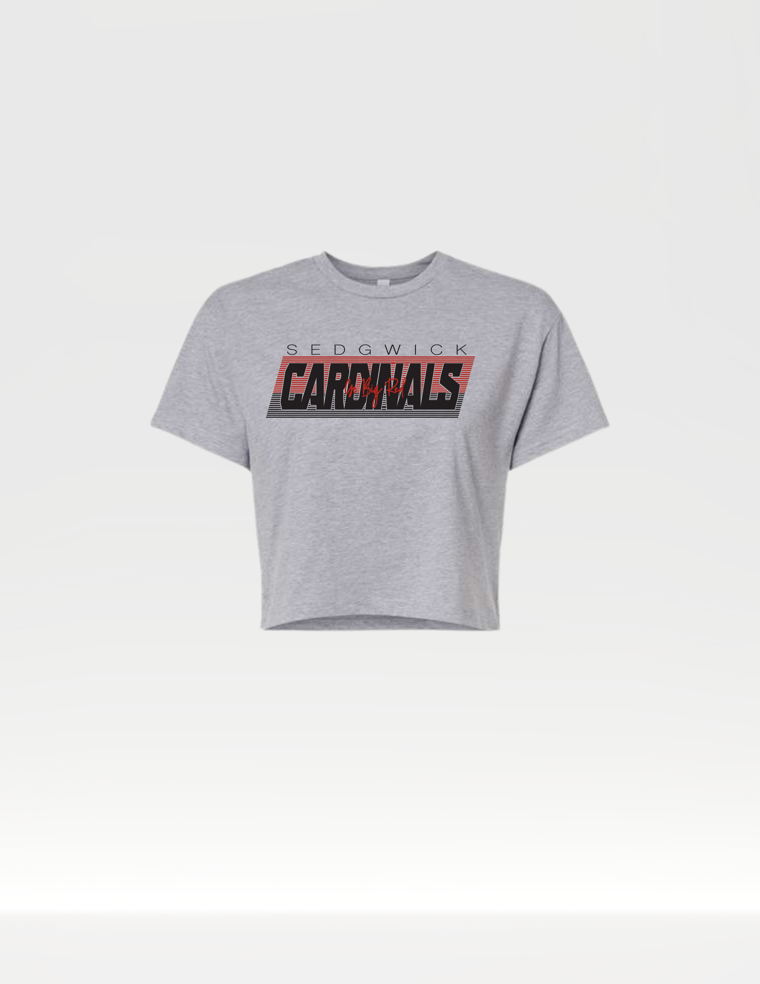 NxtLvl Crop Heather Grey.png