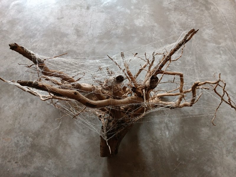 El Pacte amb el diable