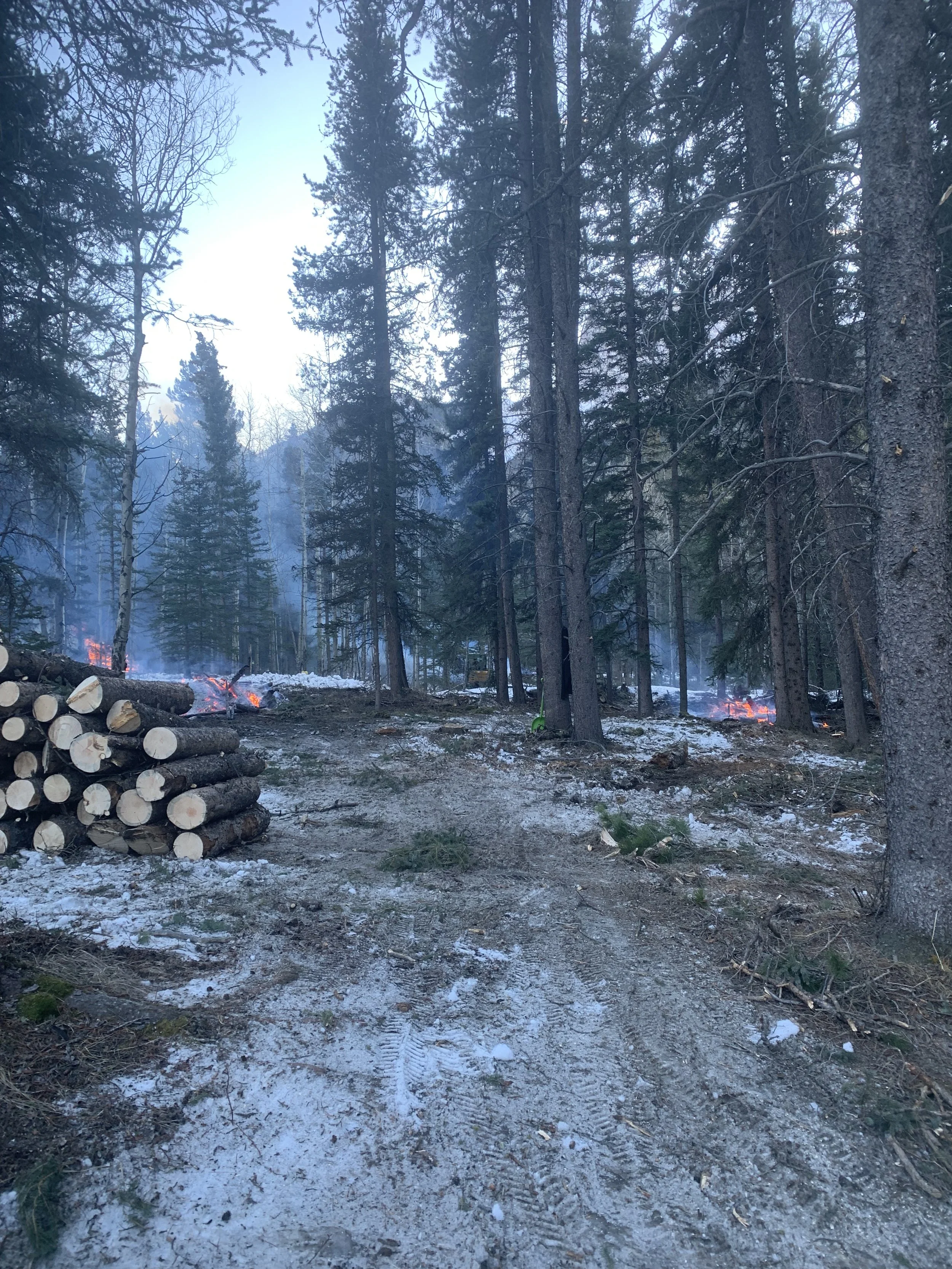 Fire-Smart Forest Care