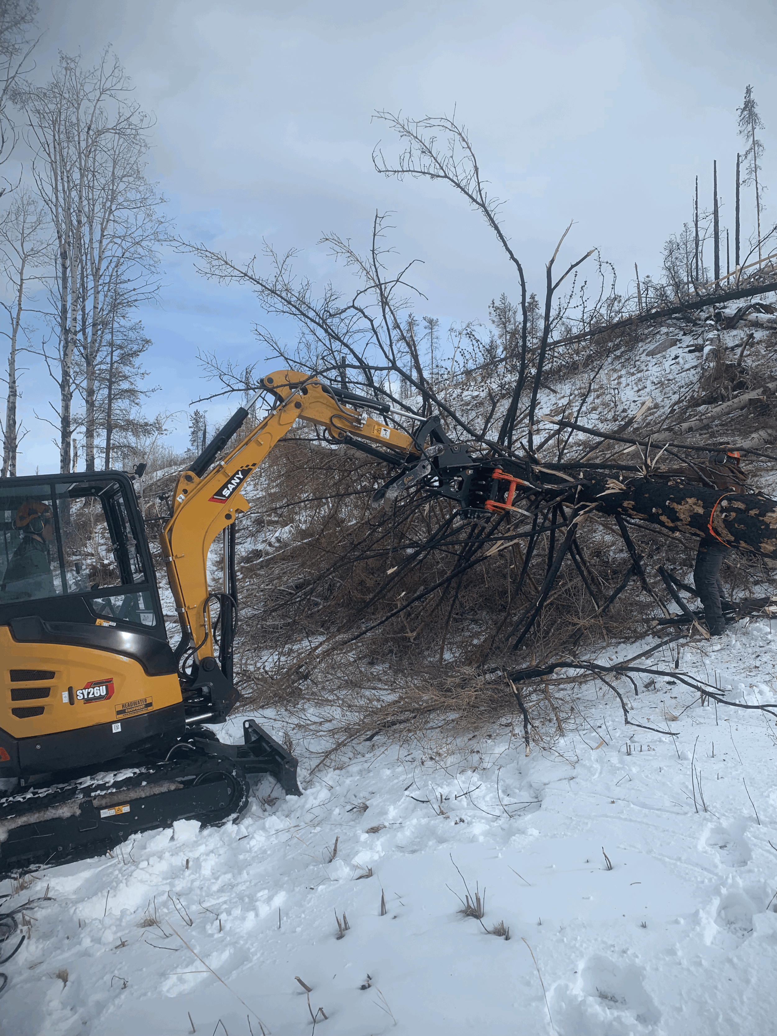 Fire-Smart Forest Care