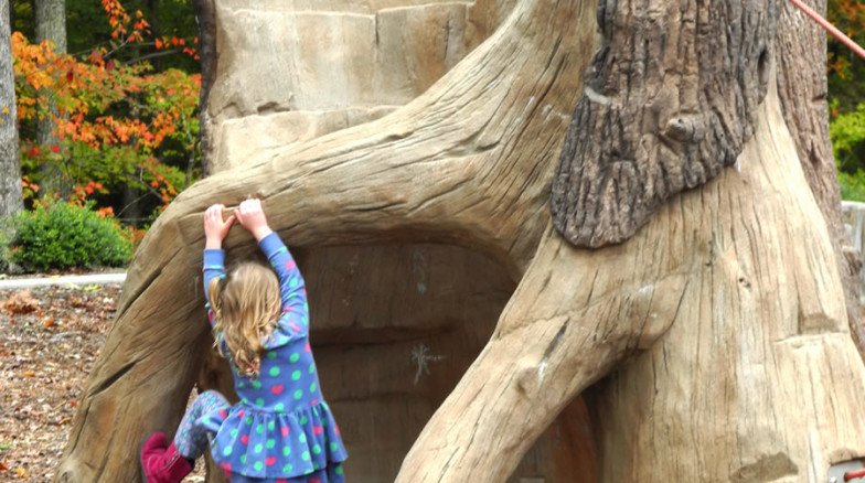 From Surface -784x438.jpg