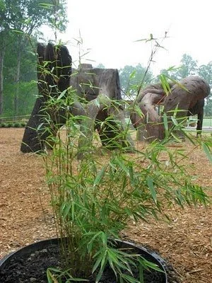 Pittsboro NC Rock Springs Park 2.jpg