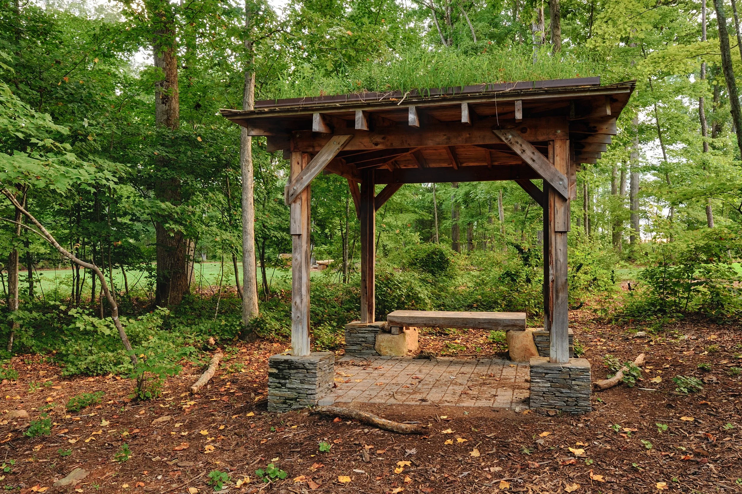 Living sedum/ green roof on eastern red cedar gazebo. 