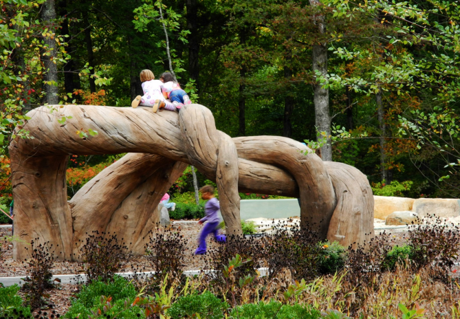 This innovative custom play sculpture mimiced the massive grape vines found in the mature hardwood forest portion of the park. 