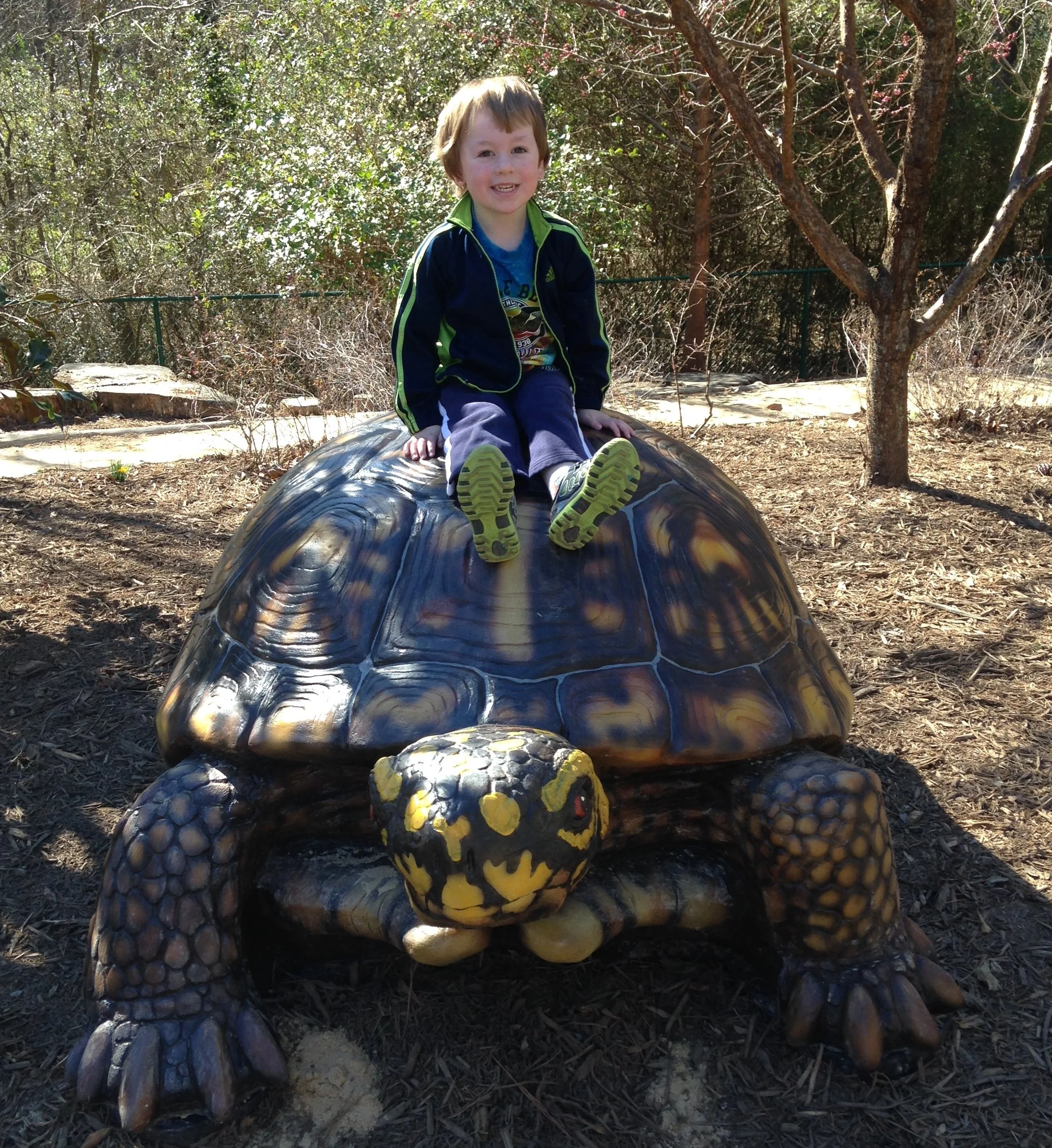 Jasper on Turtle at Kiwanis Park Pittsboro NC.jpg