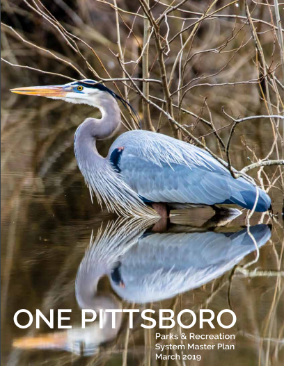 Link to One Pittsboro Plan