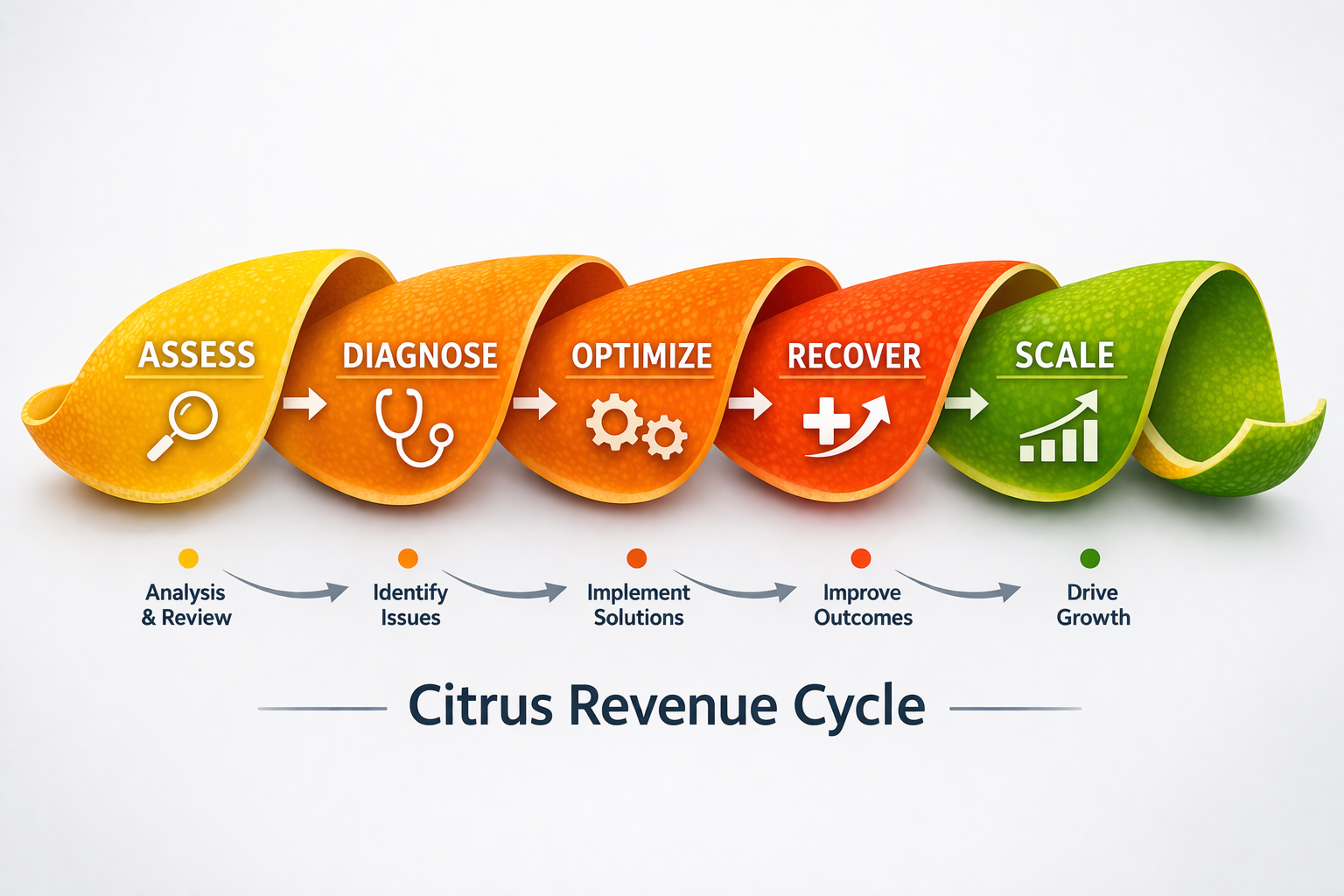 Colorful citrus fruit peel illustration representing the Citrus Revenue Cycle, with five sections labeled Assess, Diagnose, Optimize, Recover, and Scale, along with associated icons and process steps.
