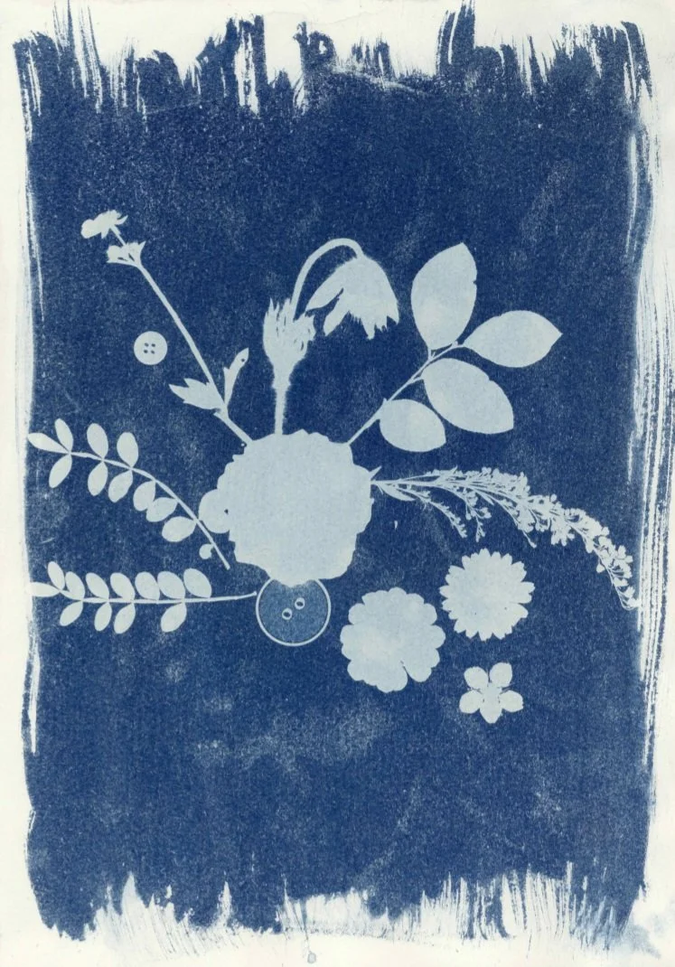 Residual Forms, 2026, Cyanotype on cotton linen and card 42 x 59.4 cm