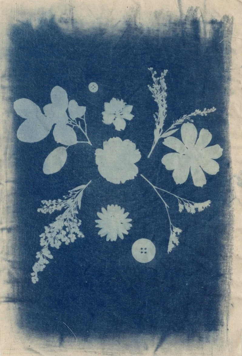 Residual Forms, 2026, Cyanotype on cotton linen and card 42 x 59.4 cm