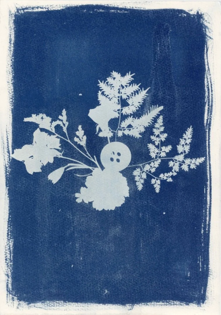 Residual Forms, 2026, Cyanotype on cotton linen and card 42 x 59.4 cm
