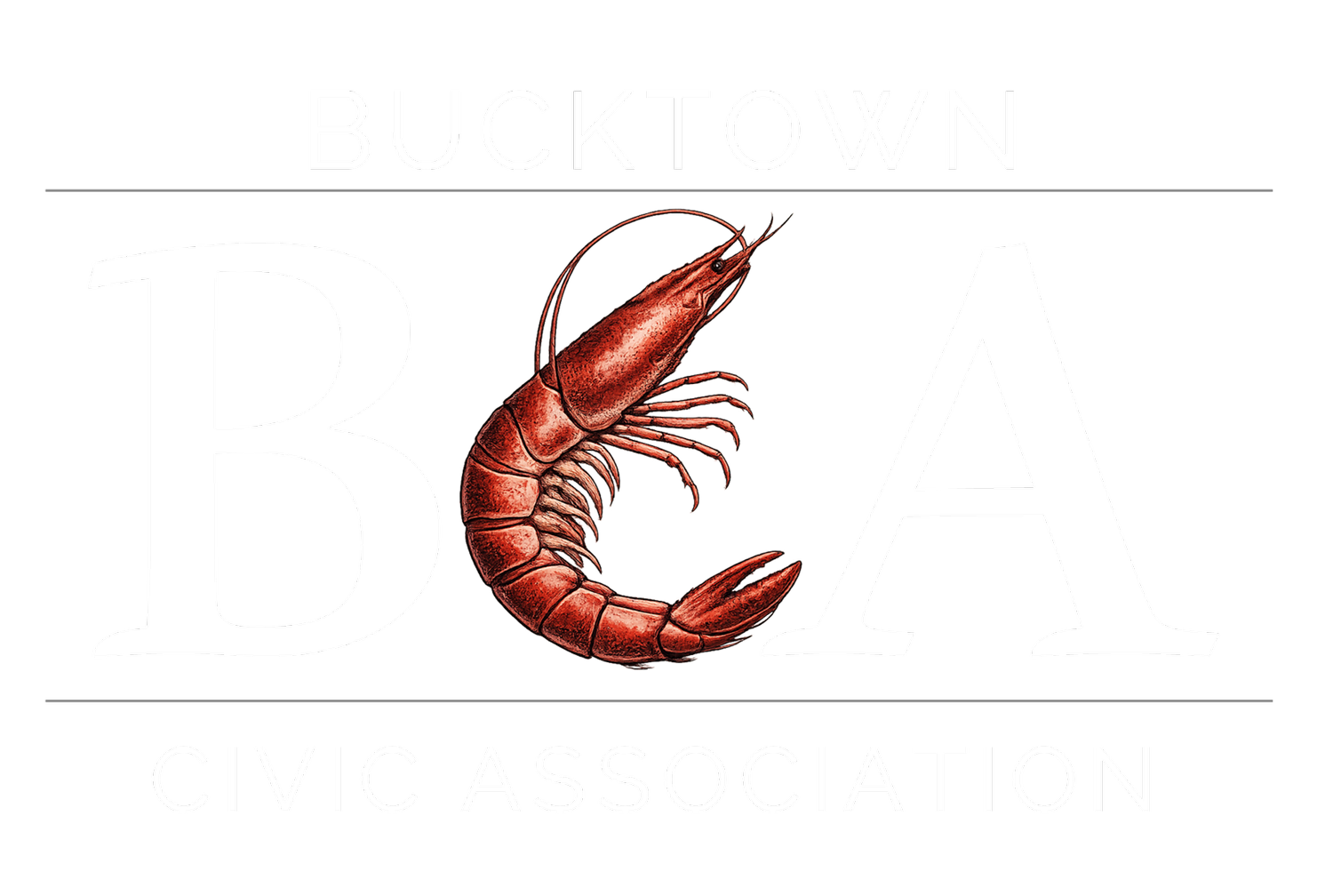 Bucktown Civic Association