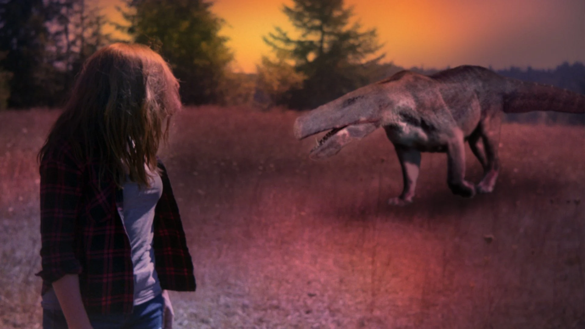 Bad Faith, 2017 | Sarah Robertson