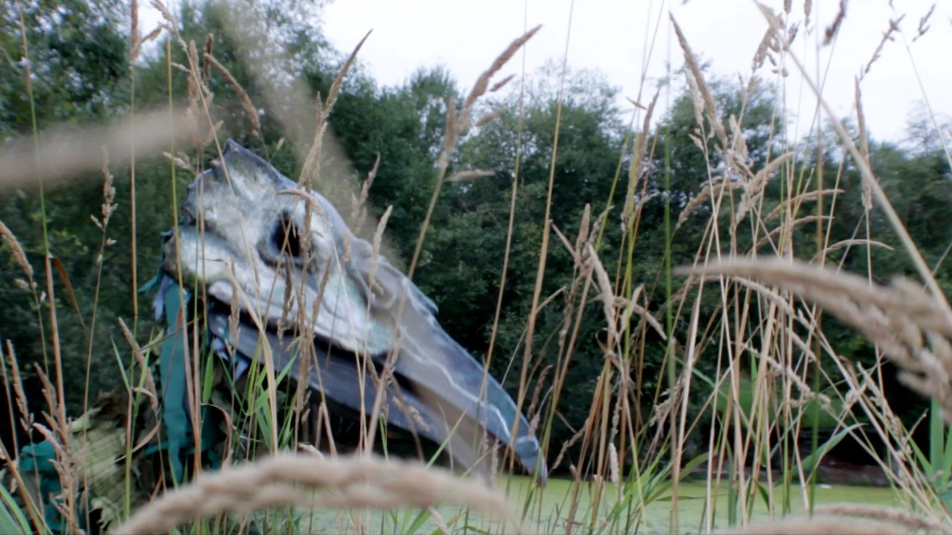 Boggy, 2024 | String & Shadow