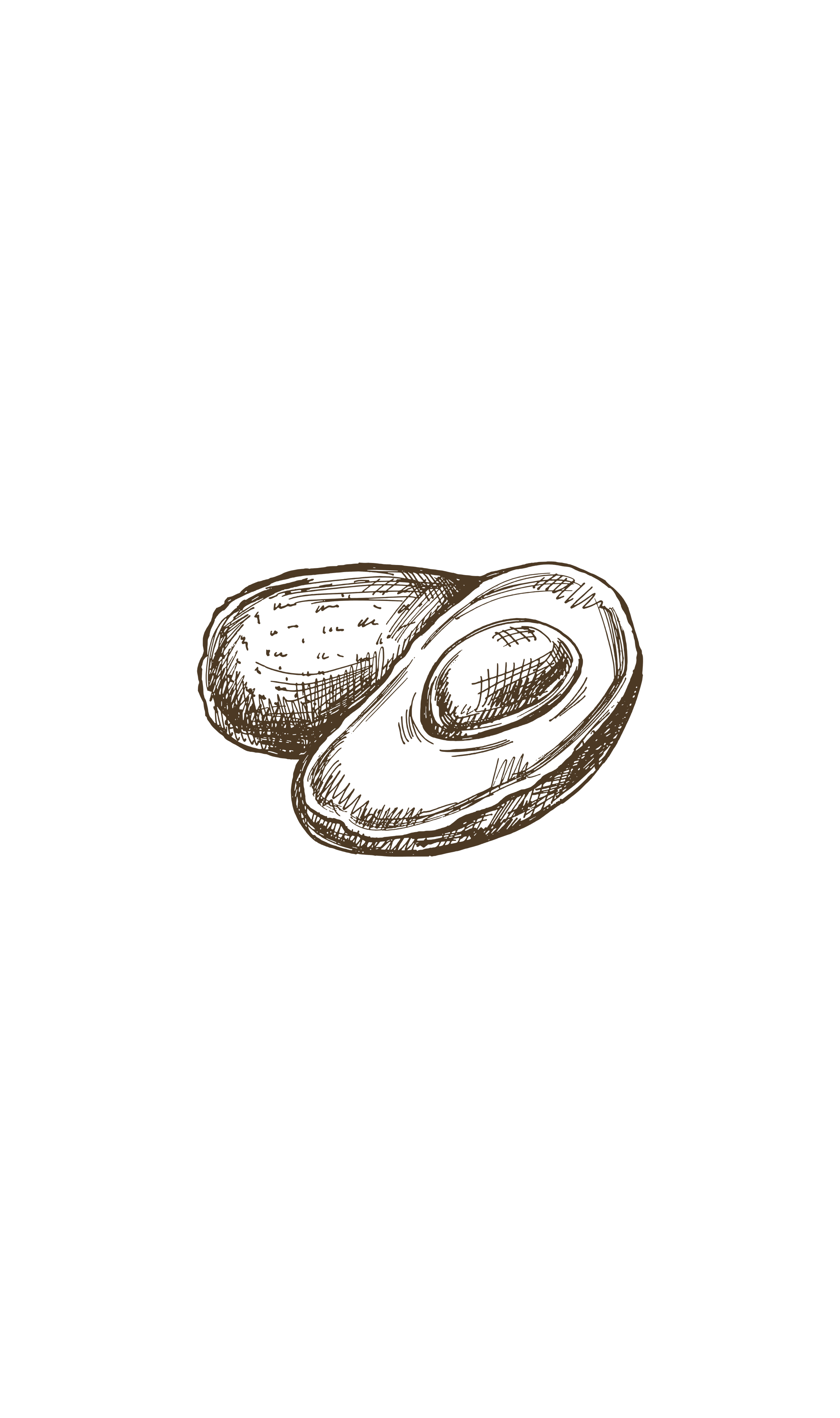 Illustration of two avocados on a black background.