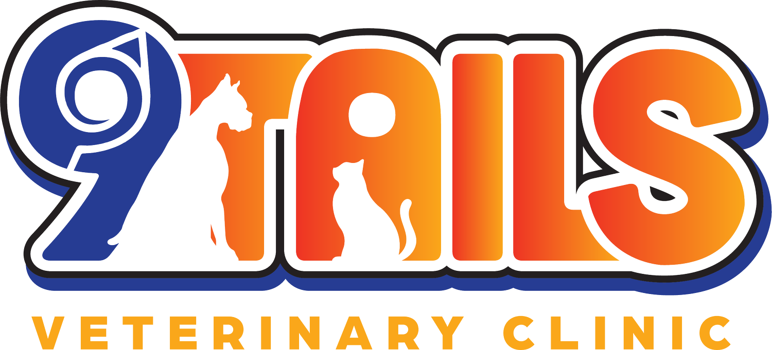 Your Site Title