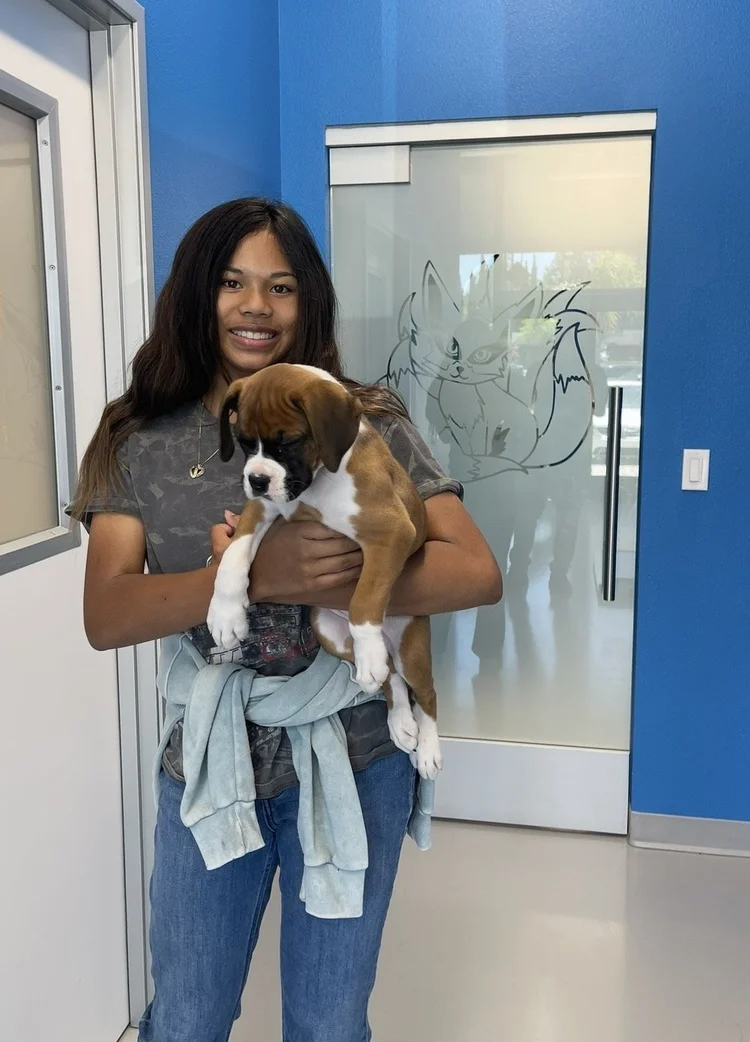 9Tails Veterinary Clinic | Veterinarian in Corona, CA