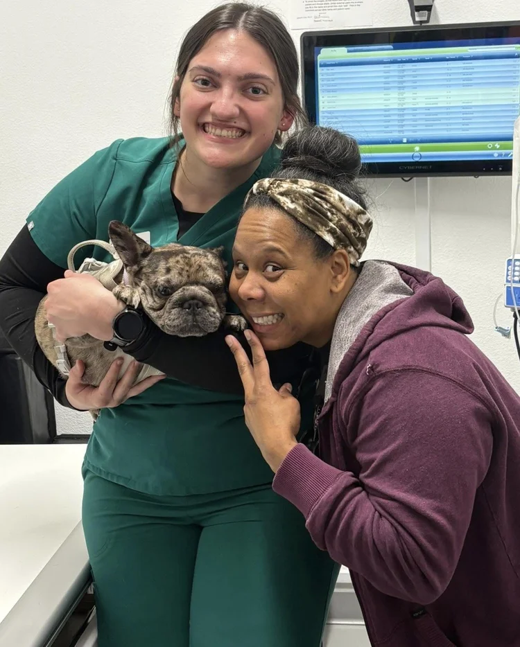 9Tails Veterinary Clinic | Veterinarian in Corona, CA