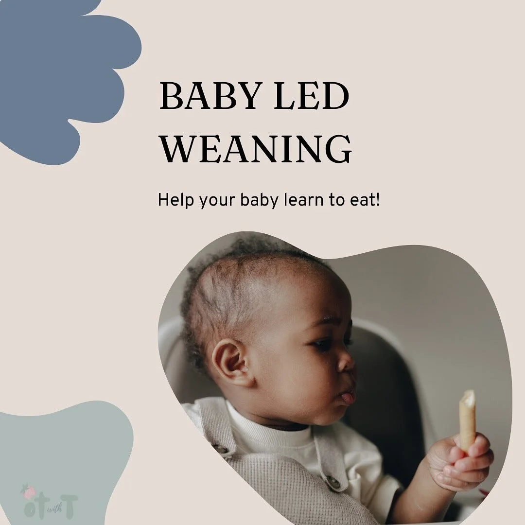 Baby Led Weaning is an important concept when transitioning your child to solids! The ideal time for the introduction of taste, texture, and chewing practice is around 6 months for typically developing children. For children with motor or feeding cha