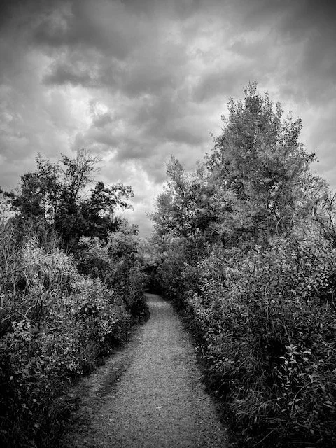 Path 1 Tuckerman Park, MT