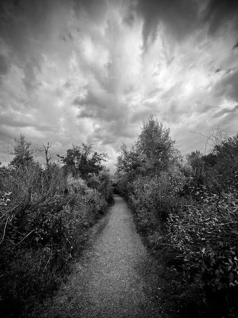 Path 3, Tuckerman Park, Bozeman, MT