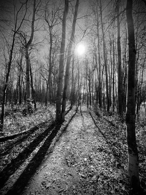 Path 2, Tuckerman Park, Bozeman, MT