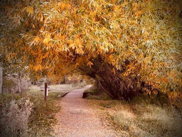 Path 4, Tuckerman Park, Bozeman, MT