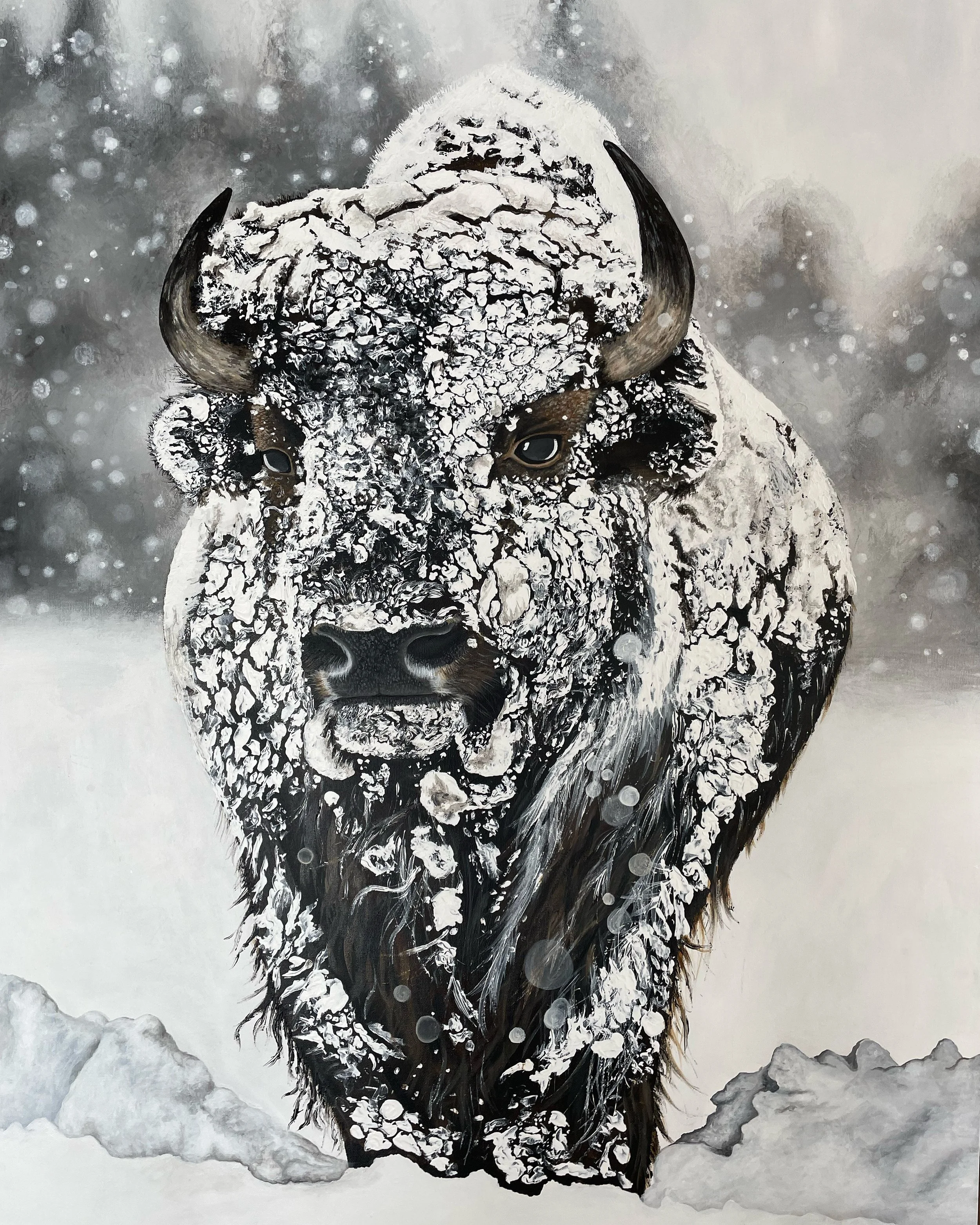 The Trek 48" x 36" NFS