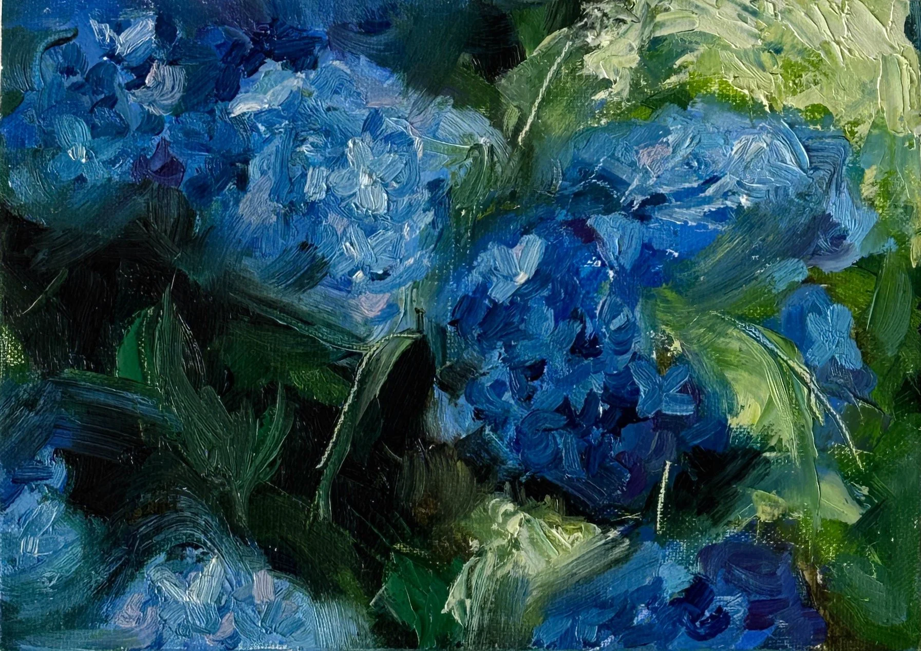 hydrangea close up.jpg