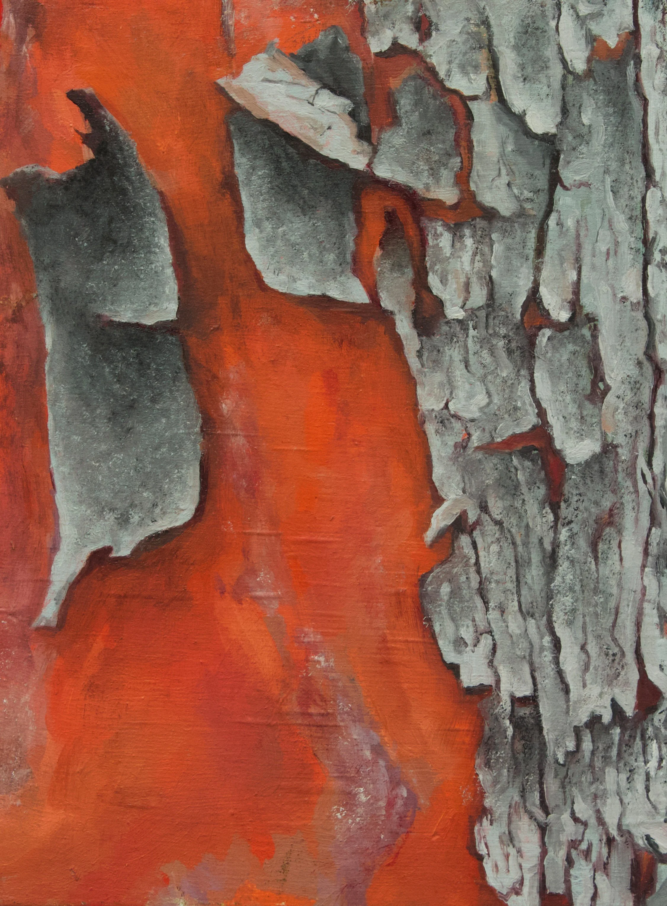 California Cove full.jpg